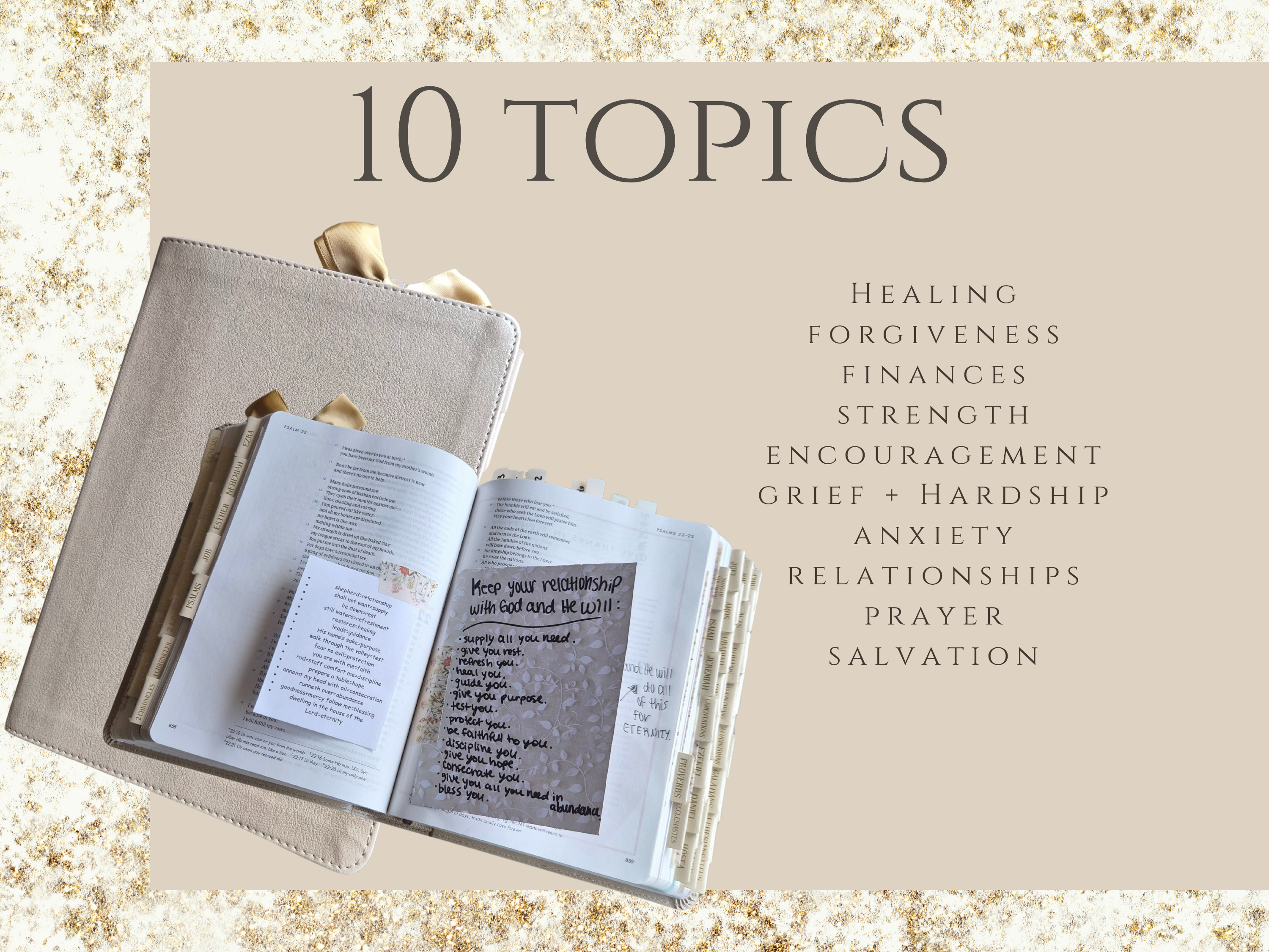 She Reads Truth Loaded Journaling Bible | CSB | Champagne Gold with hand-placed Beige and Gold Tabs and Golden Bow Cross Paperclip