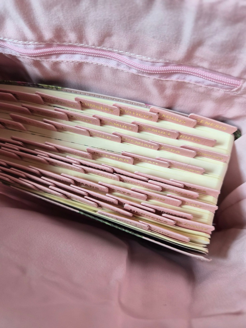 Pink Striped Strawberry Bible Bag