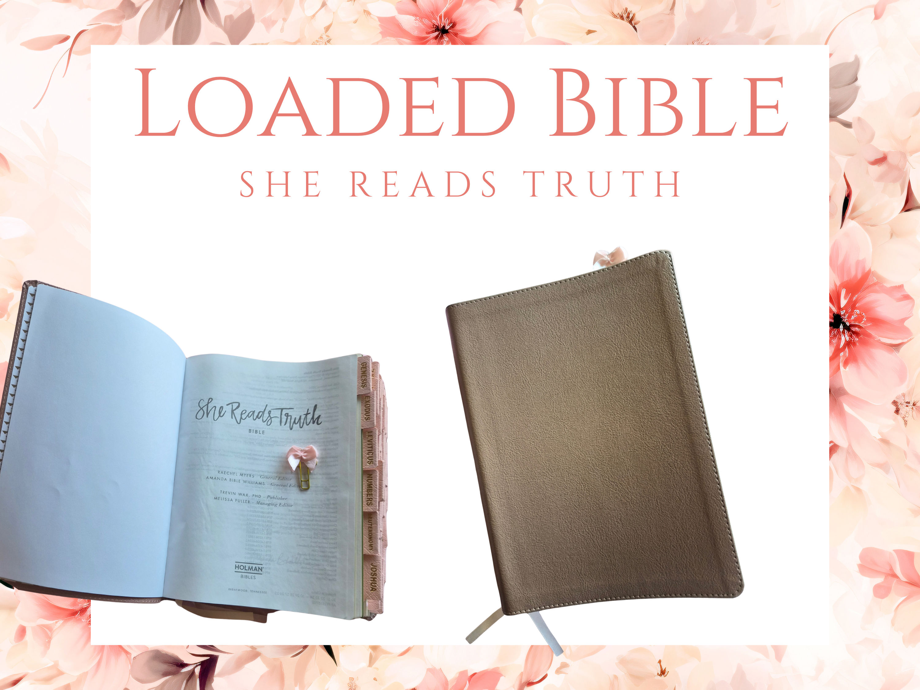 She Reads Truth Loaded Journaling Bible | CSB | Rose Gold and Pink with Tabs and PomPom Ribbon
